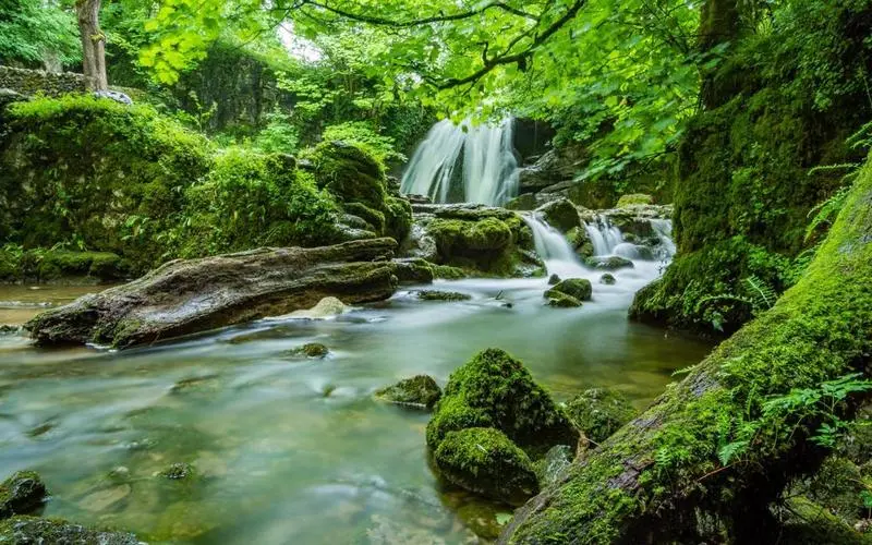 高标准高端高端